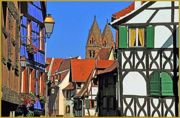 זלסטאט Au Bon Vieux Port Maison De Vacances Alsacienne A 10Mn De Ribeauville, Riquewihr Et Kaysersberg מראה חיצוני תמונה