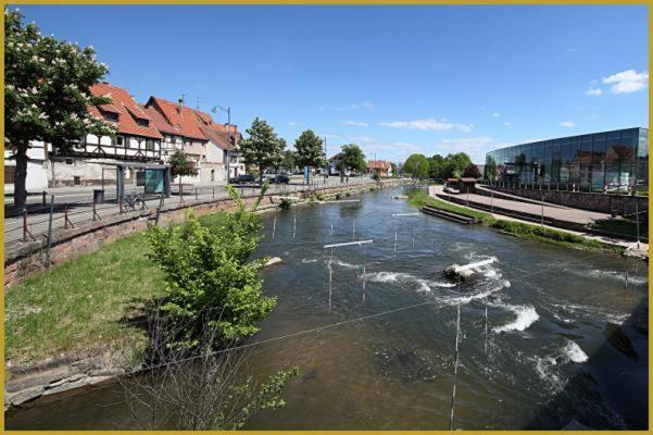 זלסטאט Au Bon Vieux Port Maison De Vacances Alsacienne A 10Mn De Ribeauville, Riquewihr Et Kaysersberg מראה חיצוני תמונה