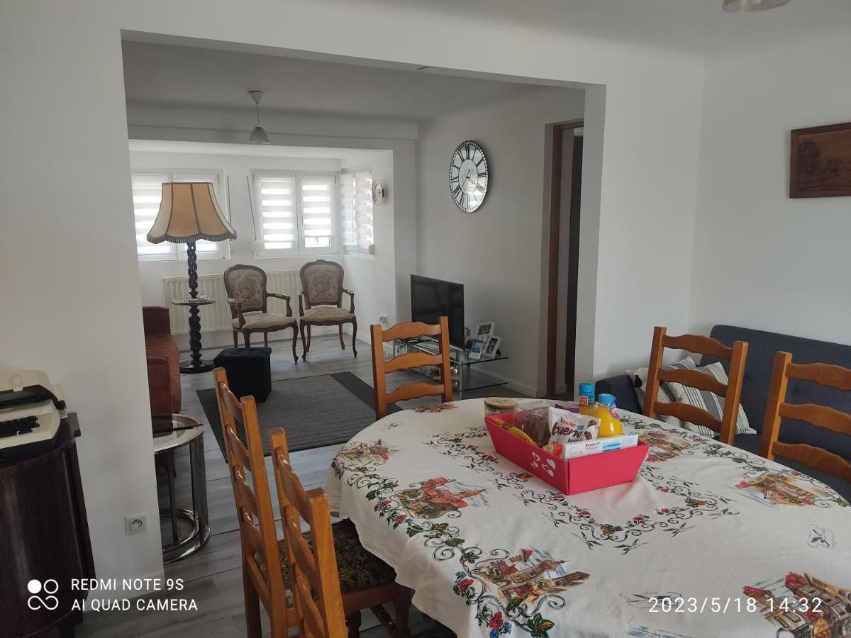 זלסטאט Au Bon Vieux Port Maison De Vacances Alsacienne A 10Mn De Ribeauville, Riquewihr Et Kaysersberg מראה חיצוני תמונה