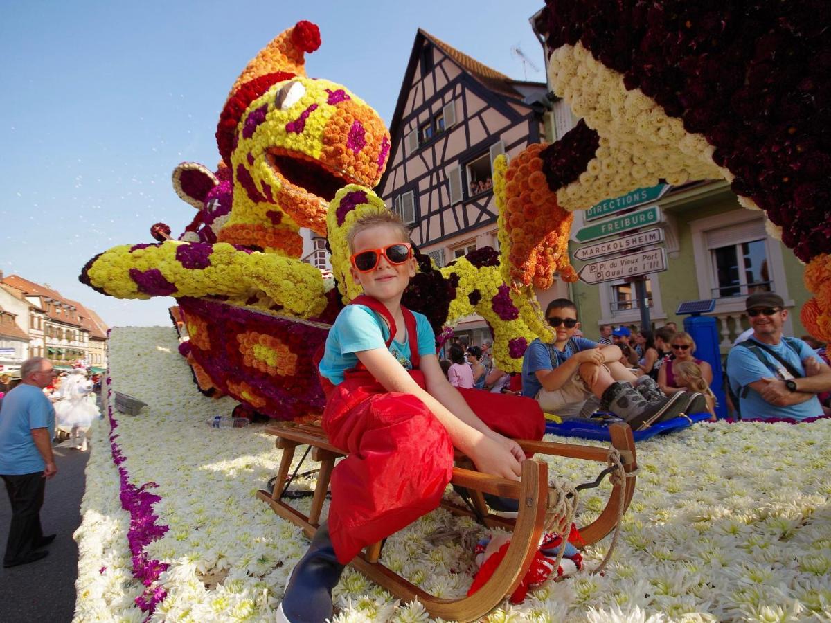 זלסטאט Au Bon Vieux Port Maison De Vacances Alsacienne A 10Mn De Ribeauville, Riquewihr Et Kaysersberg מראה חיצוני תמונה